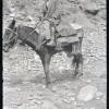 FRC (Fondo Rodríguez-Castellano). [LRC a caballo]. [Las Alpujarras] ?